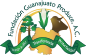 Logotipo_FGP